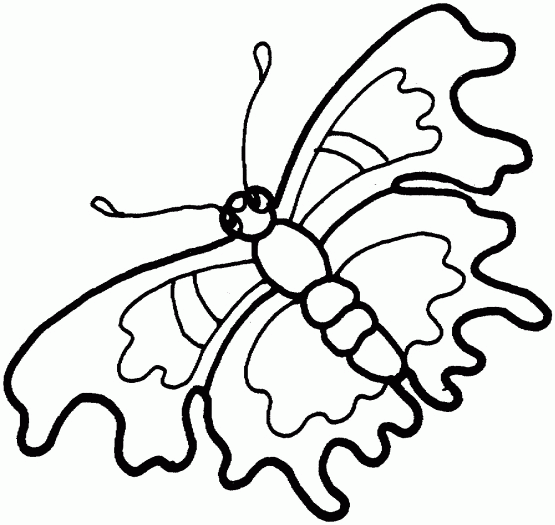 Motyle gąsienice - motyle - kolorowanka 17.gif