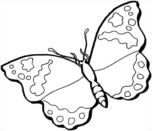 kolorowanki - butterfly-12-coloring-page.gif