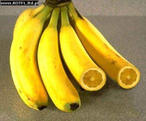 HUMOR - banano_cytryny.jpg