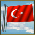   Flagi narod. w 3D - turkeyflag.gif