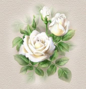 Kwiaty - bukiet białych rz.jpg