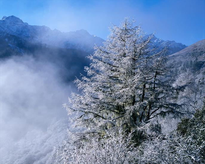 Beautiful Winter Landscape Wallpapers - beautiful winter landscape_19.JPG