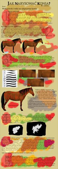 Jak rysować konie - Jak narysować konia 2.png