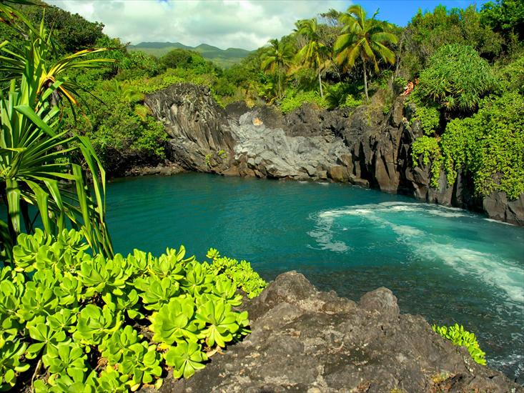 600 Beautifull Pics - Venice Falls, Maui, Hawaii.jpg