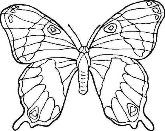 Motyle gąsienice - motyle - kolorowanka 58.GIF