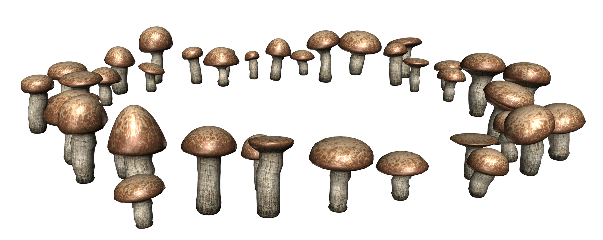 grzyby - mushrooms009.png