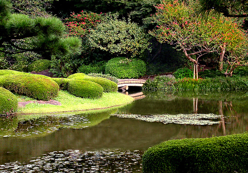 OGRODY JAPOŃSKIE  - 1b ogród japoński.jpg