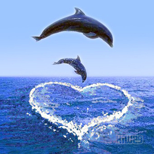 serca serduszka - dolphins-1.jpg