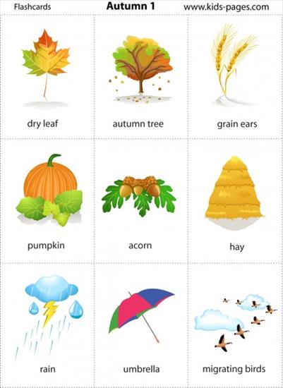 Angielski dla dzieci - autumn.jpg