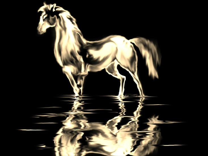 Konie - Konie 2.jpg