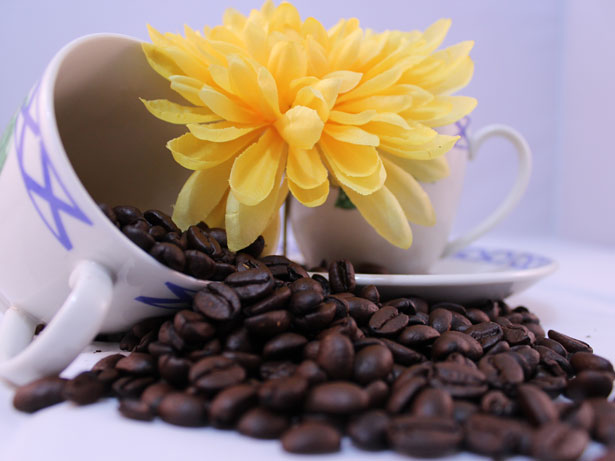 filiżanki-kwiatki - teacup-coffee-flower.jpg