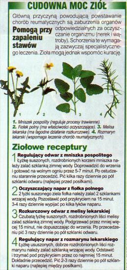 Reumatyzm - Na zapalenie stawów.JPG