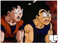  Dragon Ball Postacie  opis - Goku Vegeta.jpg