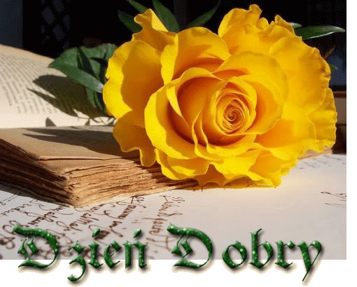 DZIEŃ DOBRY - DZIEŃ DOBRY 84.gif