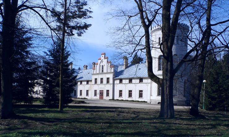 Pałac Margonińska Wieś - 20.jpg