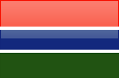 FLAGI 2 - Gambia.png