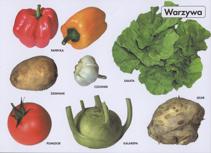 Warzywa - image4-1.jpg