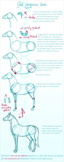 Jak rysować konie - Jak narysować konia 3.png