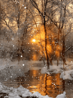 Gify - winter gold sunset.gif