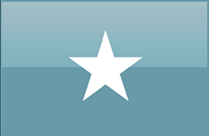 FLAGI 2 - Somalia.png