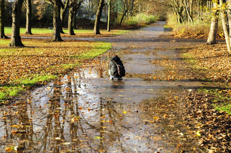 Jesień - Herbst-auf-den-Boden-1024x682.jpg