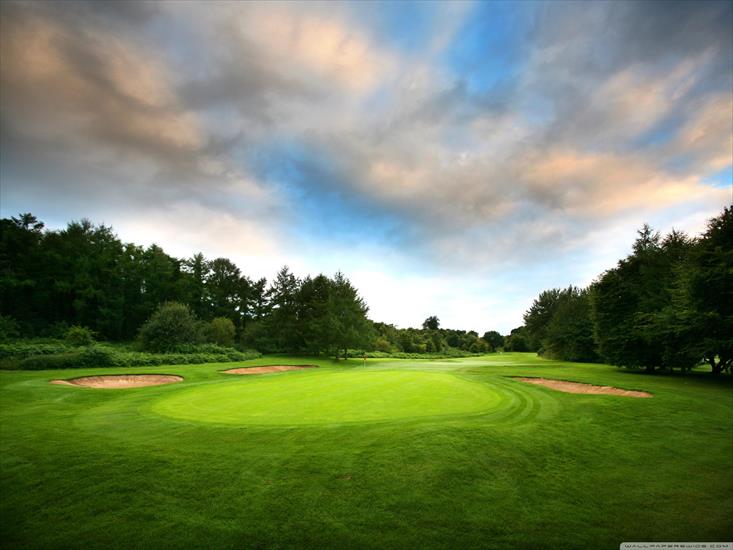 800 filmów - golf_course-wallpaper-2560x1920.jpg