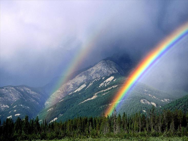 TAPETY - rainbow.jpg