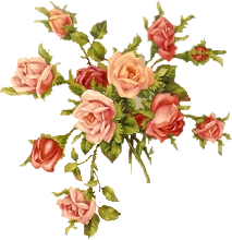 Roze - Kwiaty png 78.png