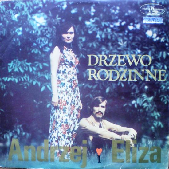 Andrzej i Eliza - Drzewo rodzinne 1972 - cover.JPG