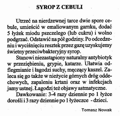 Rośliny lecznicze - cebula_syrop.jpg