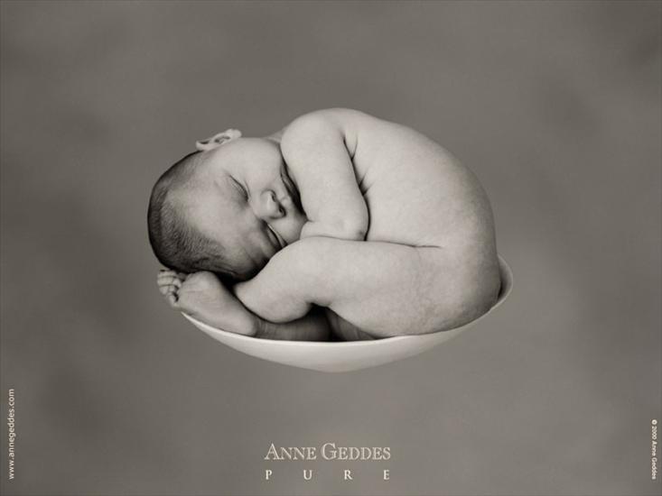 Anne Geddes - Child by Anne Geddes 65.jpg
