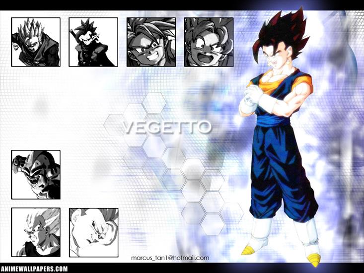 Tapety - dbz_35_1024.jpg