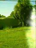 Ruchome Avatary - speed1ee21.gif