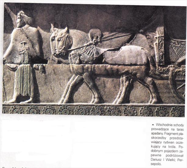 Persja Achemenidów - obrazy - Obraz IMG_0033. Rydwan oczekujący na króla - relief z persopolis.jpg