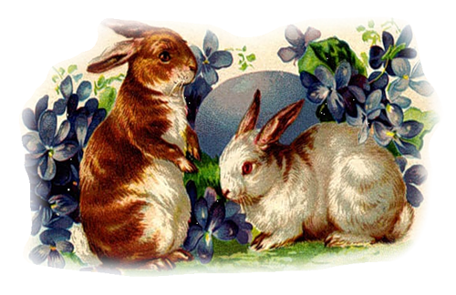 Zajączki, króliczki - png - 0_51db5_6c44b26f_L.png