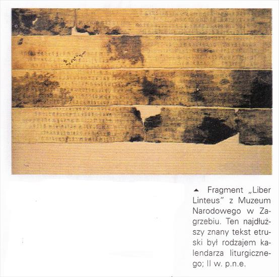 Etruskowie - obrazy - IMG_0036. Fragment Liber Linteus z Muzeum Narodowego w Zagrzebiu.jpg