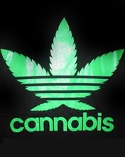 Zioło - cannabis44en8.jpg