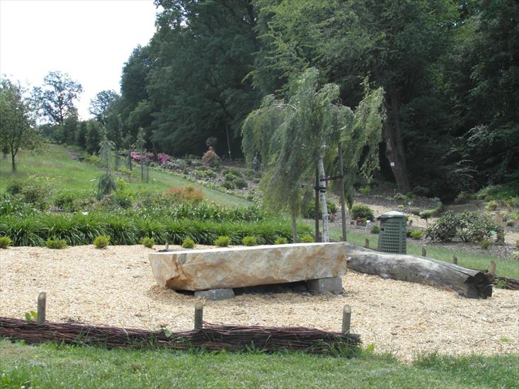 Arboretum - Wojsławice - 18.06.2016 - 033.JPG