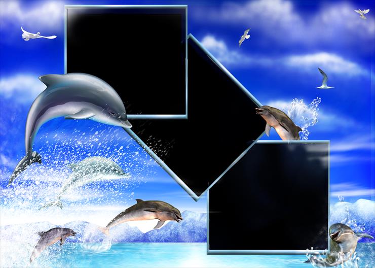 Ramki MORSKIE - delfiny.png