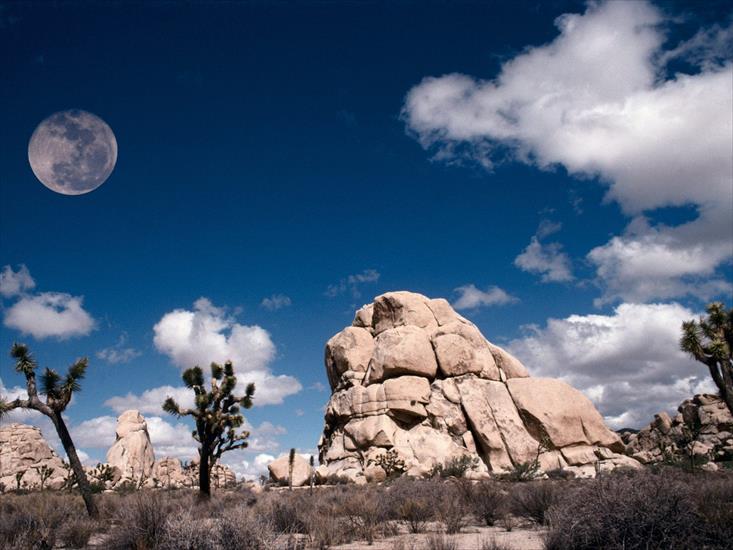 National Park USA Collection - Full-Moon-at-Joshua-Tree,-California.jpg