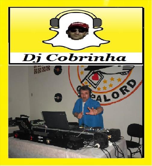 Adesivo Cobrinha - 10-- DJ...Nas  Baladas.jpg