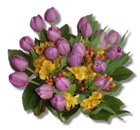 kwiaty - Tulip20Posy.jpg