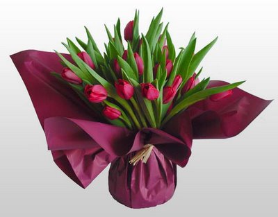 tulipany - tulipany2.jpg
