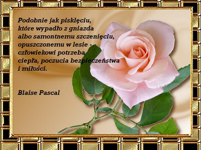 kwiaty - Blaise Pascal3.jpg