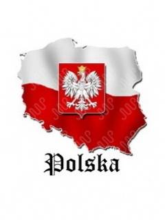 FLAGA I GODŁO POLSKI - full 4.jpg