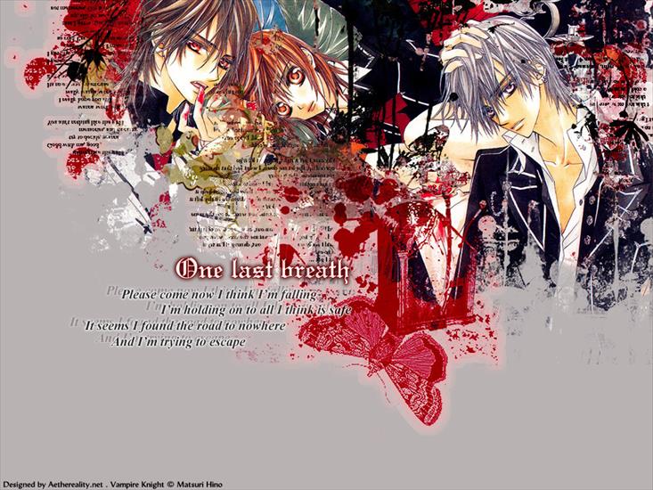 Tapety - Vampire-Knight-vampire-knight-1347754-1024-768.jpg