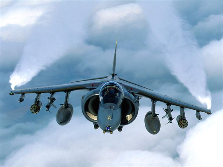 MILITARIA - RAF_-_Harrier.jpg