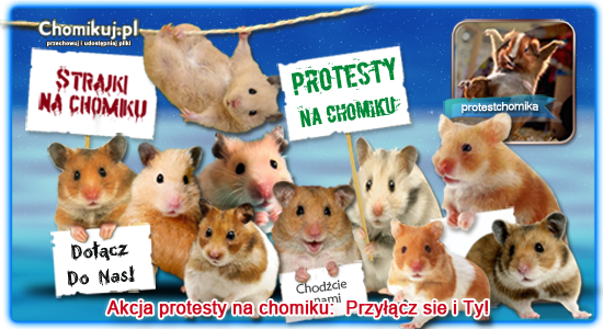 graficzny - protest2_550x300_arial.png
