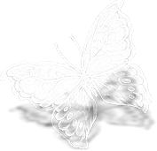 motyle,owady - PapillonBlanc.png