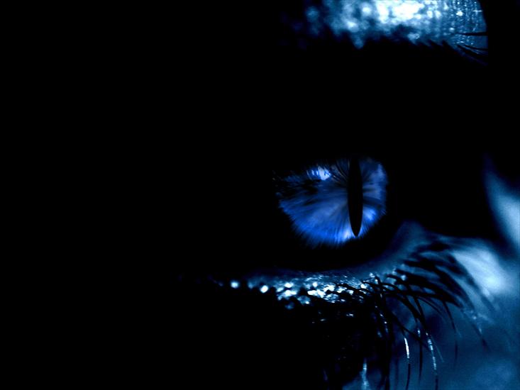 Oczy - tajemnicze-niebieskie-kocie-oko.jpg